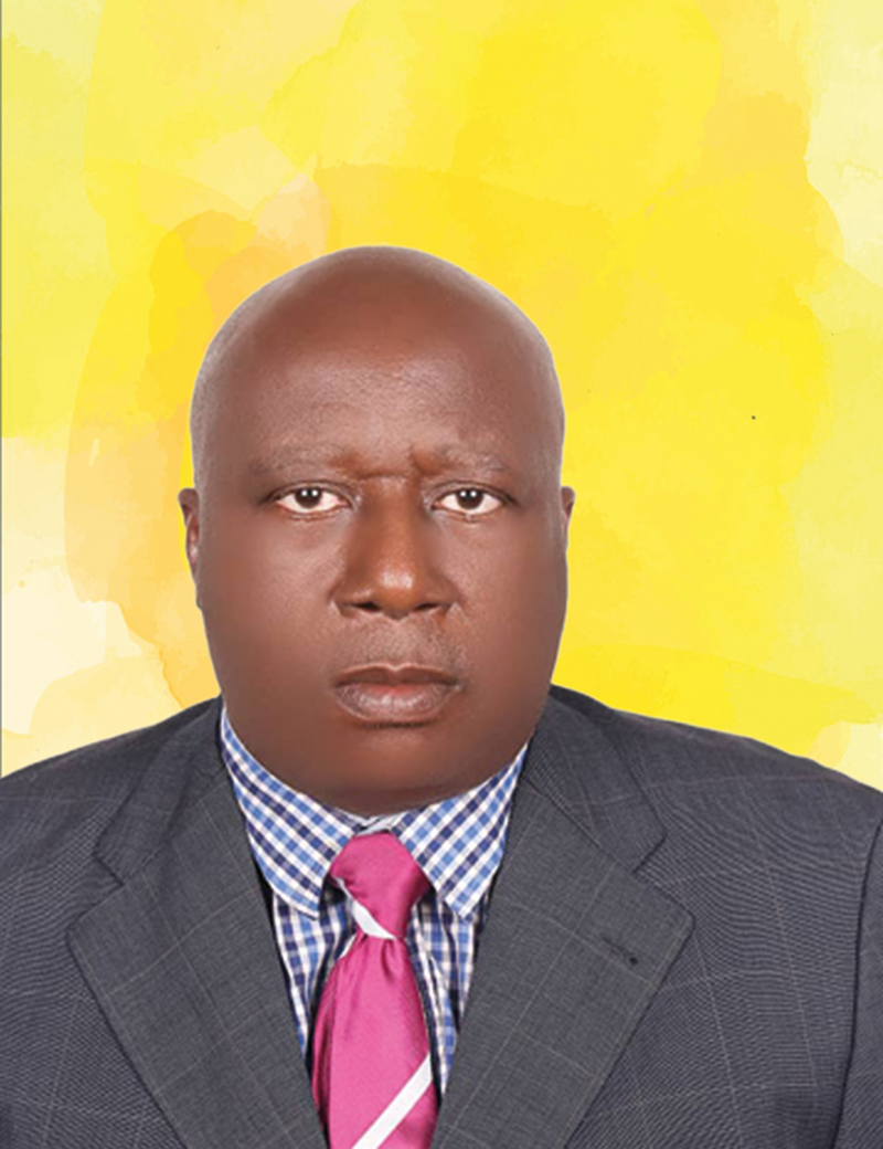 Engr. (Dr) Nwachukwu Iloanwusi - General Manager Utility Support Services